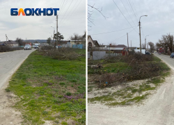 В Крымске на ул.Советской сегодня начали спиливать деревья В Крымске на ул.Советской сегодня начали спиливать деревья