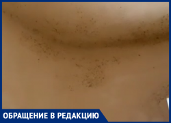 Вместо чистого подъезда теперь сырой тоннель с черной плесенью Вместо чистого подъезда теперь сырой тоннель с черной плесенью