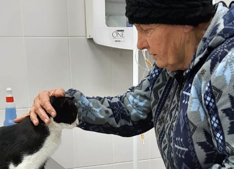 Пенсионерка из Абинска нашла своего кота в Крымске Пенсионерка из Абинска нашла своего кота в Крымске