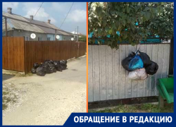 В хуторе Даманка третью неделю не убирают мусор
